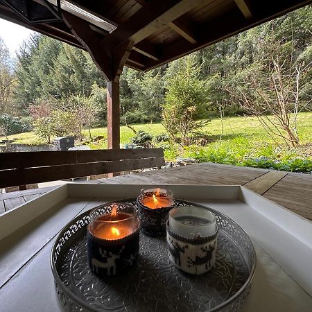 Charming Villa On The Forest In Wald 12 Guests Hugh Garden Willingen Sauerland Brilon Eksteriør bilde