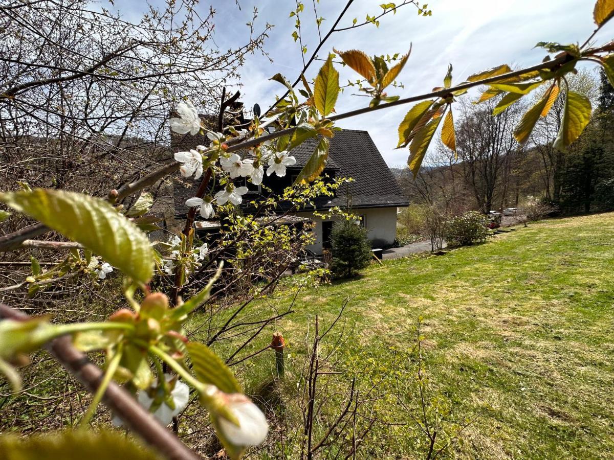 Charming Villa On The Forest In Wald 12 Guests Hugh Garden Willingen Sauerland Brilon Eksteriør bilde